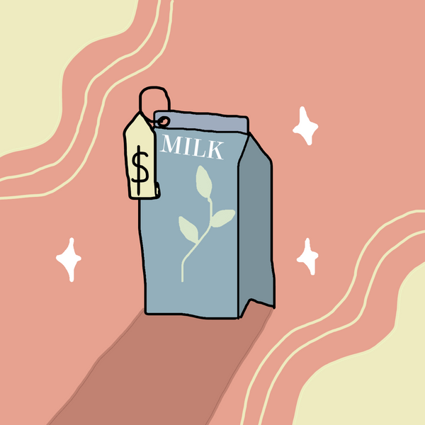 Why is Plant-Based Milk Expensive? The Logic Behind Sales